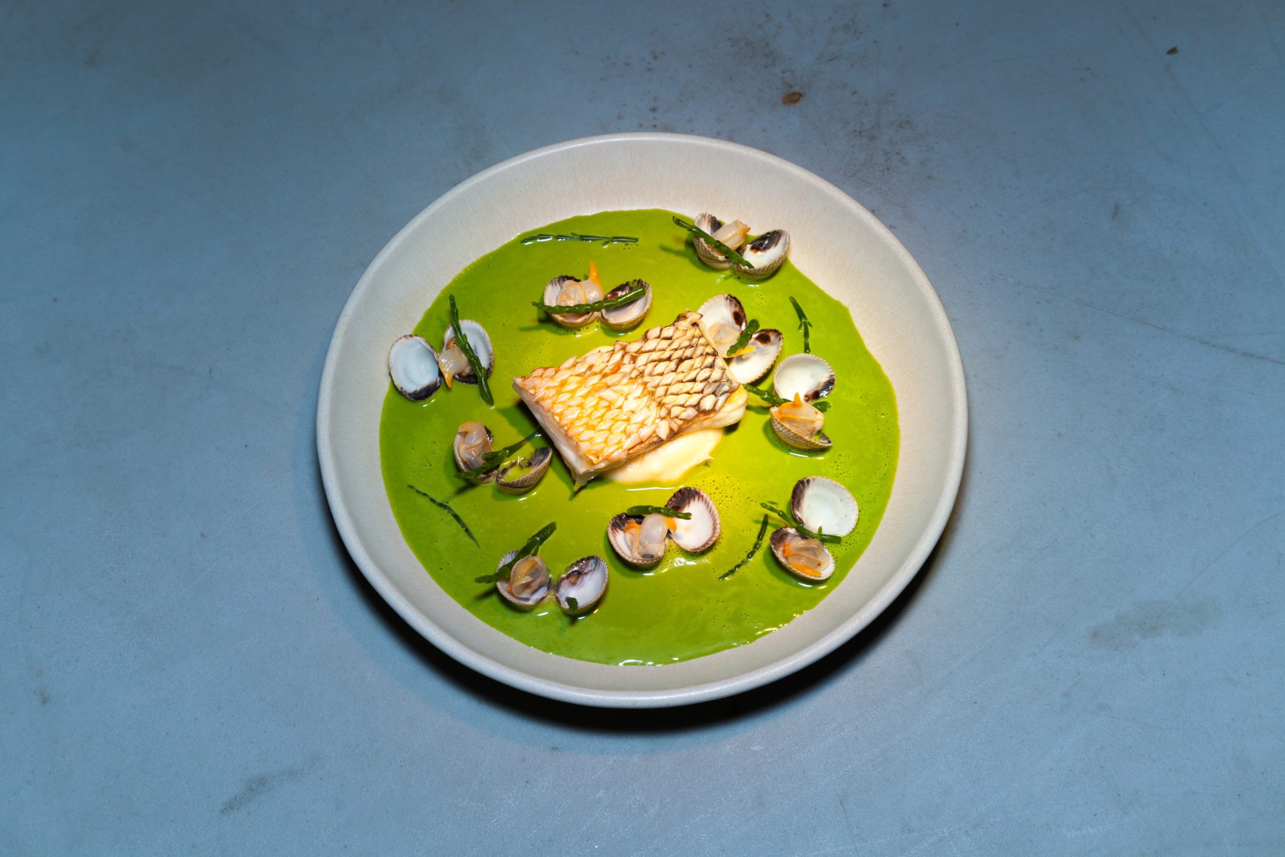 Poisson servi dans un velouté vert